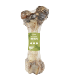 Bonez, Dino Bone, 18"