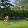 6 Piece Dog Agility Set with Adjustable Height Jump Bars, Carry Bag, Displacing Top Bar, Blue