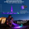 UV Flashlight Black Light, 51 LED Blacklight Pet Urine Detector for Dog/Cat Urine, Dry Stains, Bed Bug, Resin Curing, Scorpions Finder