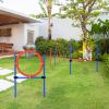 Dog Agility Training Set with Adjustable Hurdle, Hoop, Weave Poles & Carry Bag for Outdoor Exercise